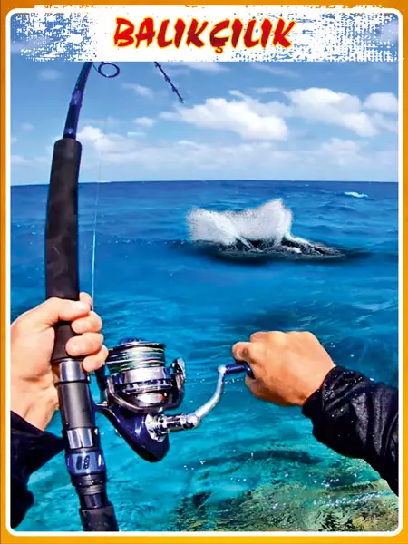 BALIKÇILIK